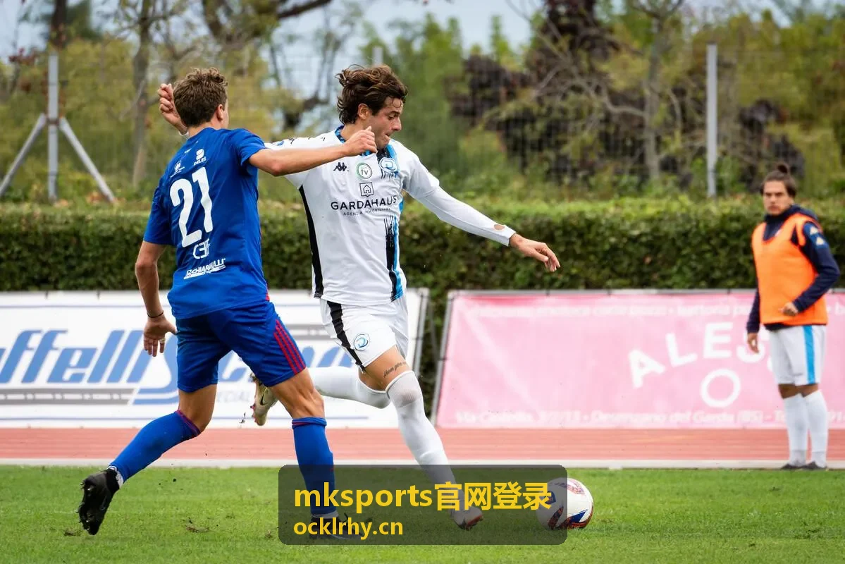 mksports官网登录 验证码未收到排查方法封面图
