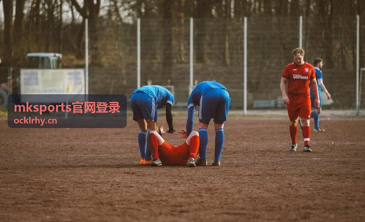 mksports官网登录 登录提示类型与处理动作封面图