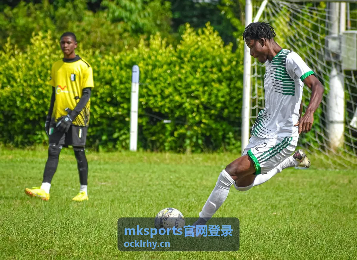 mksports官网登录 登录异常自助排查清单封面图